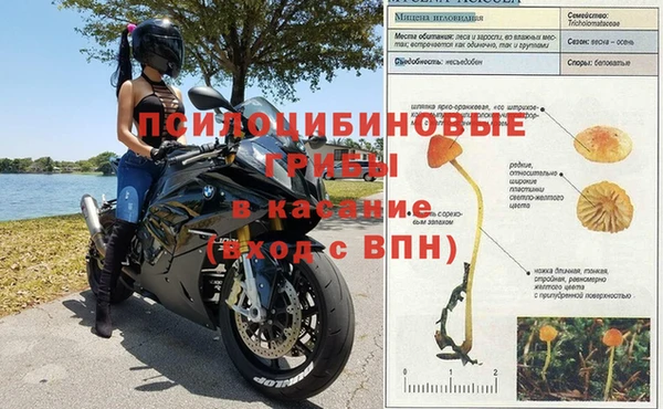 ешки Наволоки
