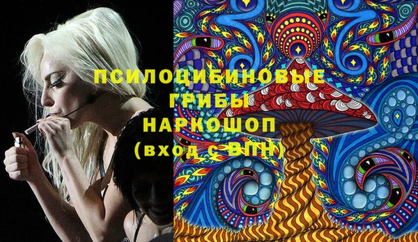 таблы Надым