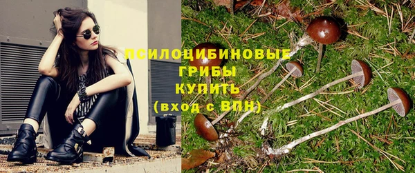 таблы Надым