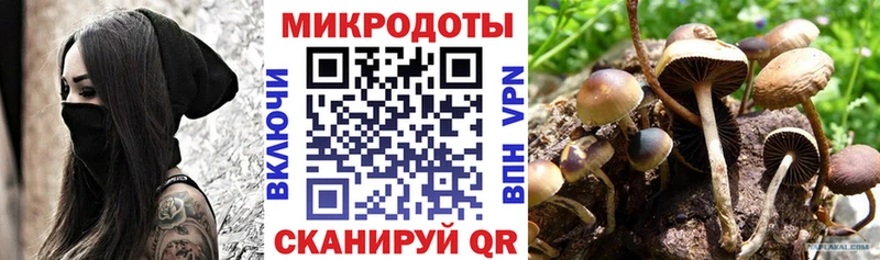 blacksprut ONION  Малаховка  Псилоцибиновые грибы Psilocybine cubensis 